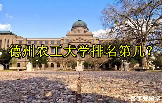 德州農工大學排名第幾？
