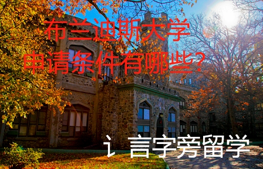 布蘭迪斯大學申請條件有哪些？