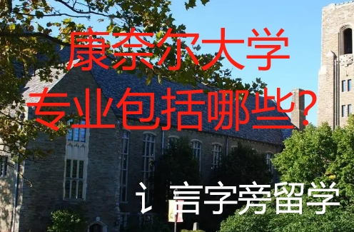 康奈爾大學專業包括哪些？