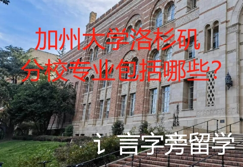 加州大學洛杉磯分校專業包括哪些？