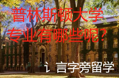 普林斯頓大學專業有哪些呢？