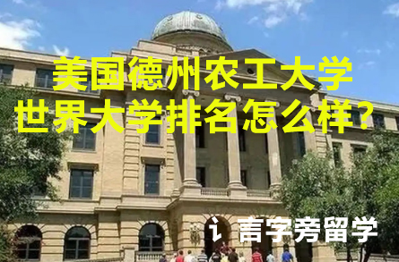 美國德州農工大學QS排名怎么樣？
