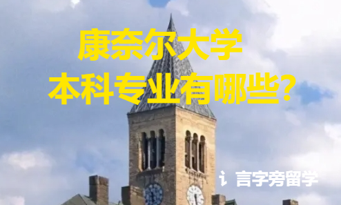 康奈爾大學本科專業有哪些？