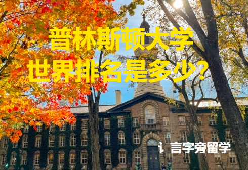 普林斯頓大學世界排名是多少？