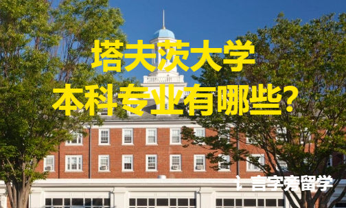 塔夫茨大學本科專業有哪些？